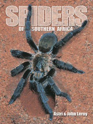 cover image of Spiders of Southern Africa